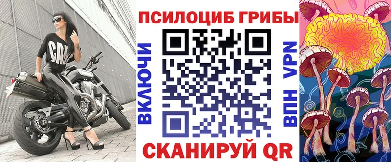 сколько стоит  Оханск  Псилоцибиновые грибы мухоморы 